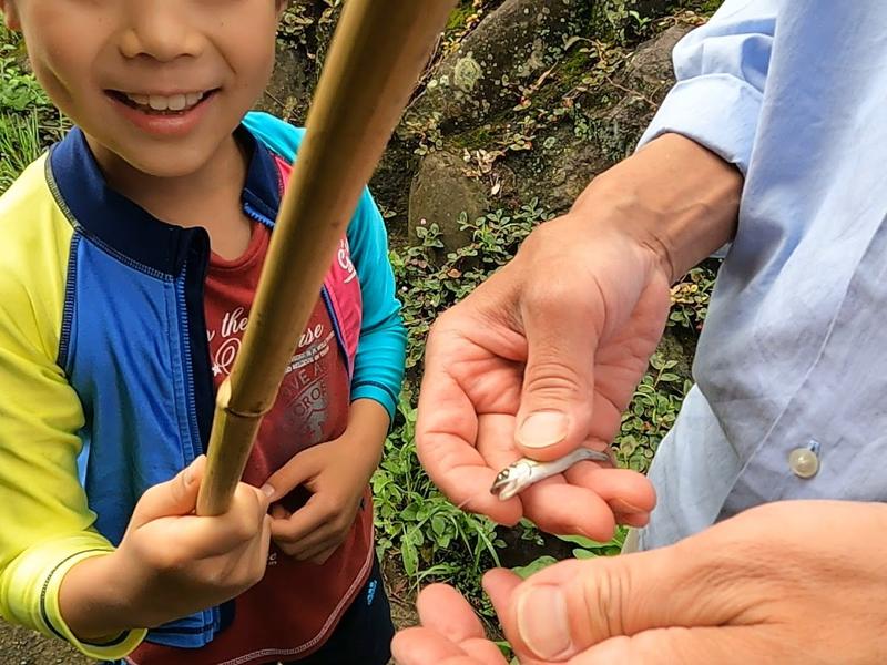 新崎川で釣った魚を手にする子ども