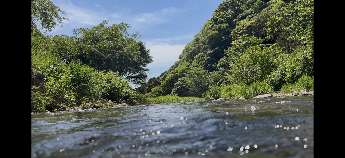 湯河原の川と源流を探訪するツアー