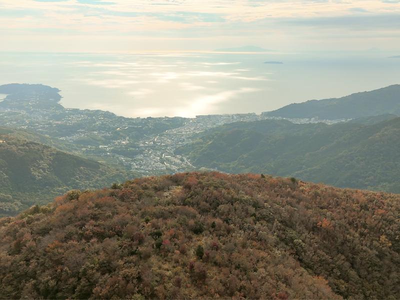 上空から見た幕山と相模湾